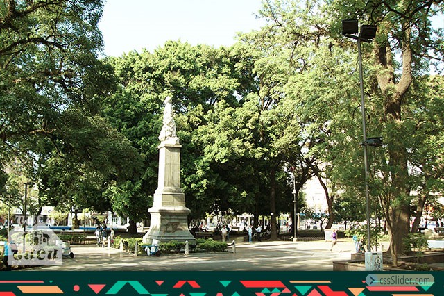 CitiTour(Plaza Independencia)