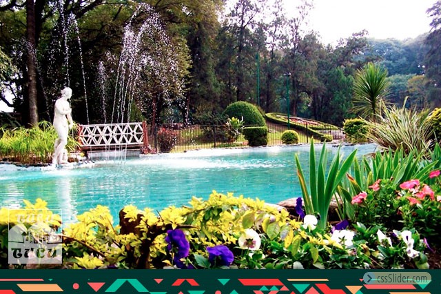 Parque 9 de Julio y sus colores