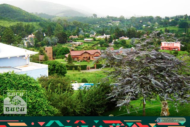 Yungas - Raco y sus colores